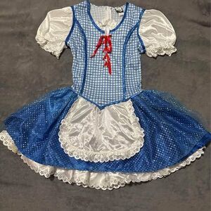 The Wizard of Oz Dorothy Halloween Costume (Child)